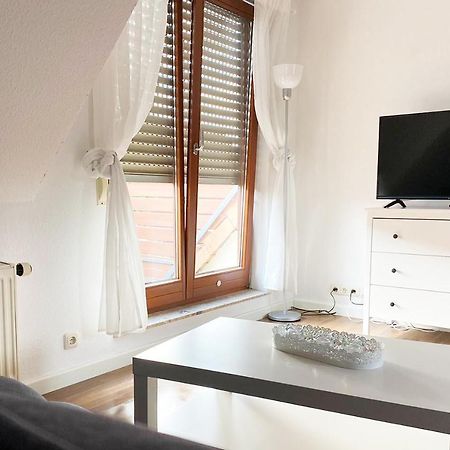 Schoenes 1 Zimmer Apartment Mit Dachterrasse Glauchau Exterior photo