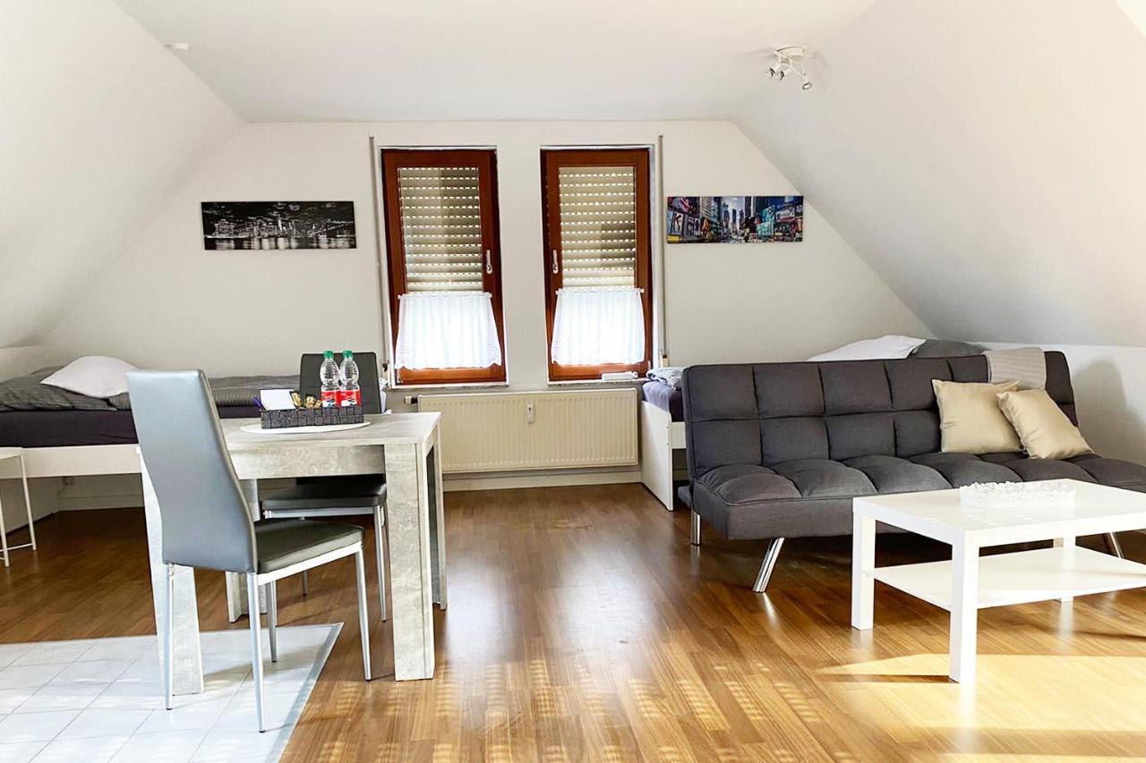 Schoenes 1 Zimmer Apartment Mit Dachterrasse Glauchau Exterior photo